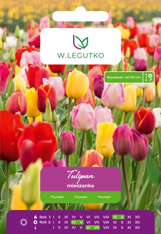 Tulipany mieszanka cebulki 5 sztuk - Triumph, wys. 40-50 cm, kwitną IV/V