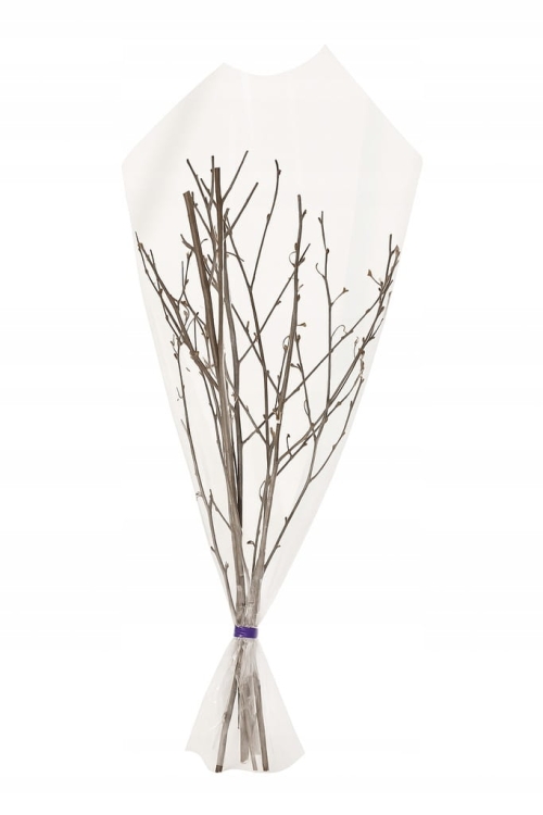 Rózga od Mikołaja 30–40 cm – tradycyjny symbol i zabawny prezent