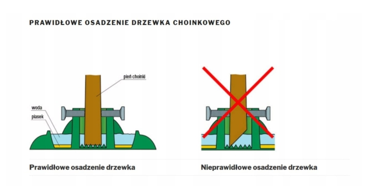 Stojak pod choinkę plastikowy 15W gwiazda – stabilna podstawa