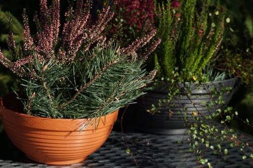 Doniczka misa Verona Verdenia 30 cm grafitowa – okrągła, 5 L