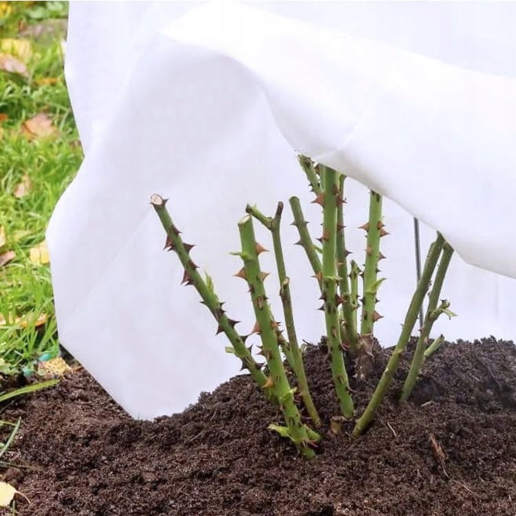 Agrowłóknina 50 zimowa biała 1,1 x 5 m MAAN