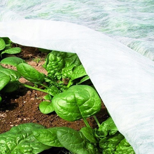 Agrowłóknina okryciowa (zimowa-wiosenna) Maan biały 160 x 500 cm 17 g/m²