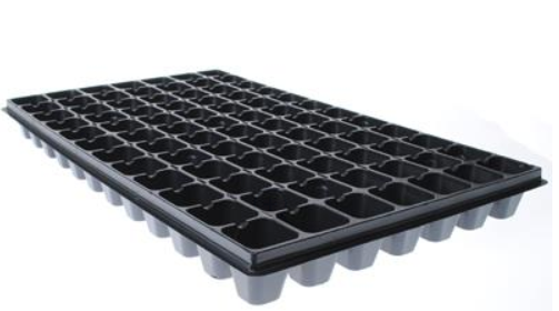 Wielodoniczka 84 komory 56x35,5 cm – tacka do wysiewu i rozsady