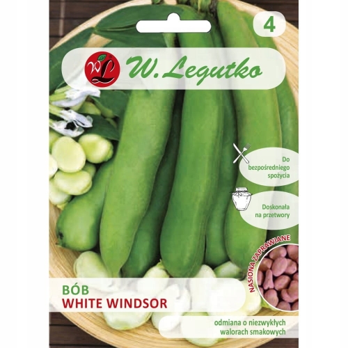 Bób White Windsor 50 g – średnio późna, plenna odmiana W. Legutko