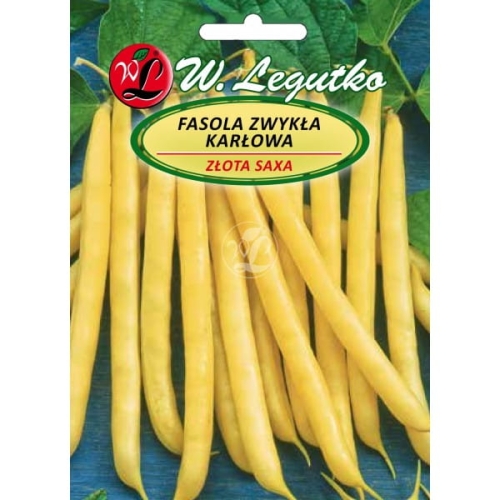 Fasola karłowa Złota Saxa 40 g – wczesna żółtostrąkowa odmiana