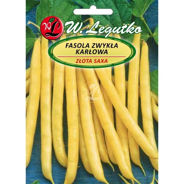 Fasola karłowa Złota Saxa 40 g – wczesna żółtostrąkowa odmiana