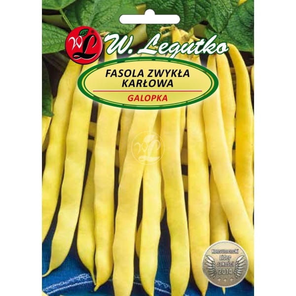 Fasola karłowa Galopka 40 g – wczesna odmiana żółtostrąkowa