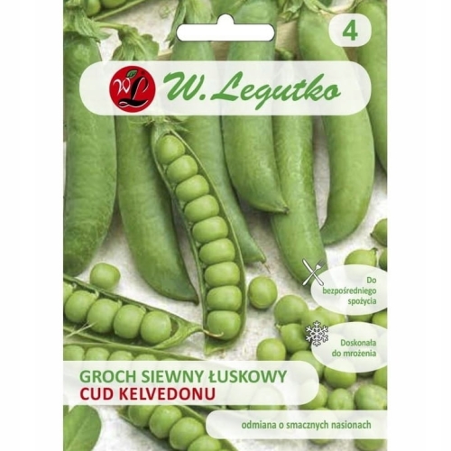 Groch łuskowy Cud Kelvedonu 40 g – wczesna, plenna odmiana