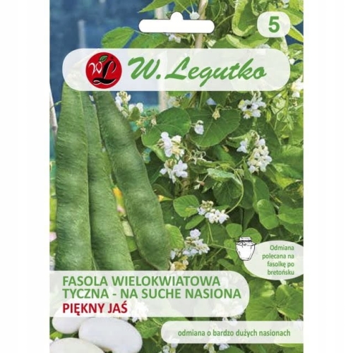 Fasola tyczna Piękny Jaś 40 g – tradycyjna odmiana na suche nasiona