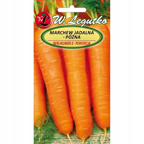 Marchew Berlikumer 2 Perfekcja 5 g – późna odmiana do przechowywania