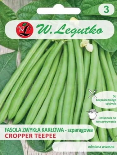 Fasola szparagowa Cropper Teepee 40 g – zielona, plenna i bezwłóknista