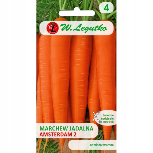 Marchew jadalna Amsterdam 2 6 g – wczesna i słodka odmiana