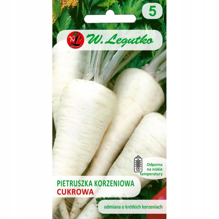 Pietruszka korzeniowa Cukrowa 5 g – wczesna i aromatyczna odmiana