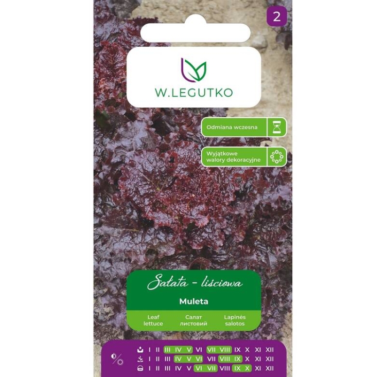Sałata liściowa Muleta 1 g – czerwona, dekoracyjna odmiana od Legutko