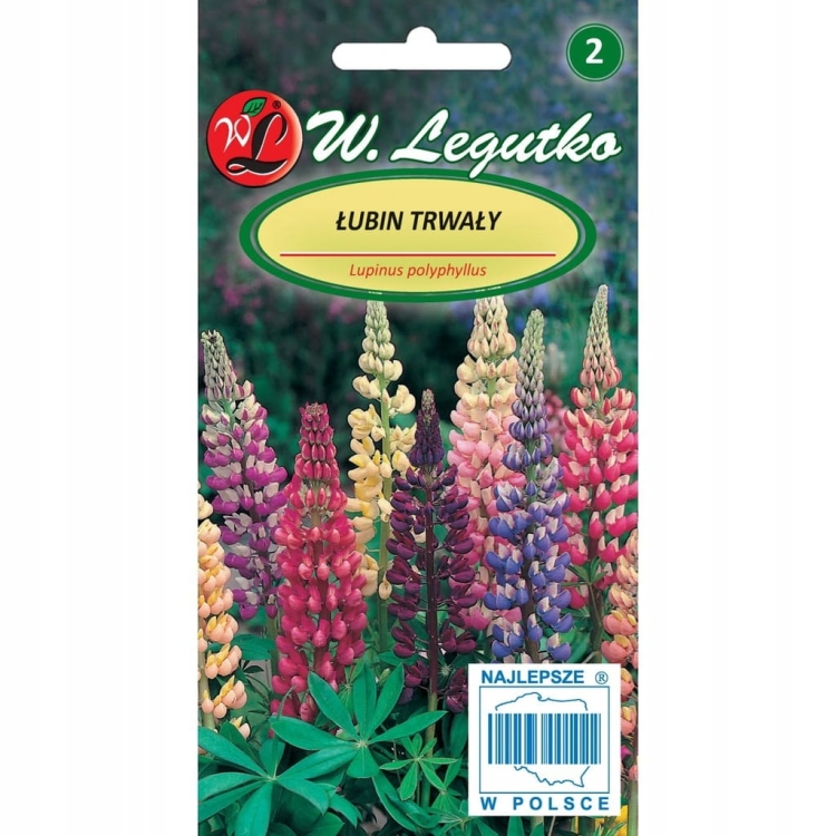 Łubin trwały 2 g – wieloletnia, mrozoodporna roślina o barwnych kwiatach