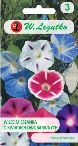 Wilec pnący Early Call – kolorowe pnącze 150–200 cm | W. Legutko