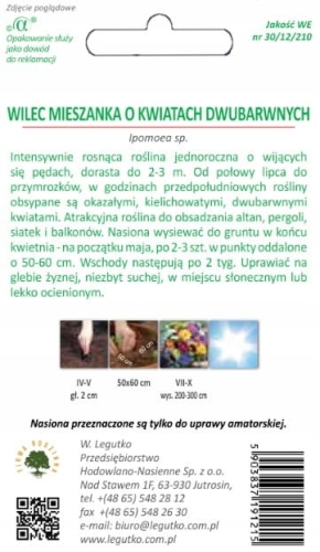 Wilec pnący Early Call – kolorowe pnącze 150–200 cm | W. Legutko