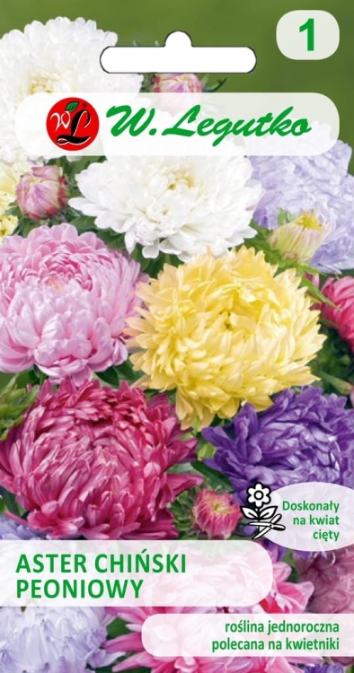 Aster chiński wysoki peoniowy – mieszanka barw 45–80 cm | W. Legutko