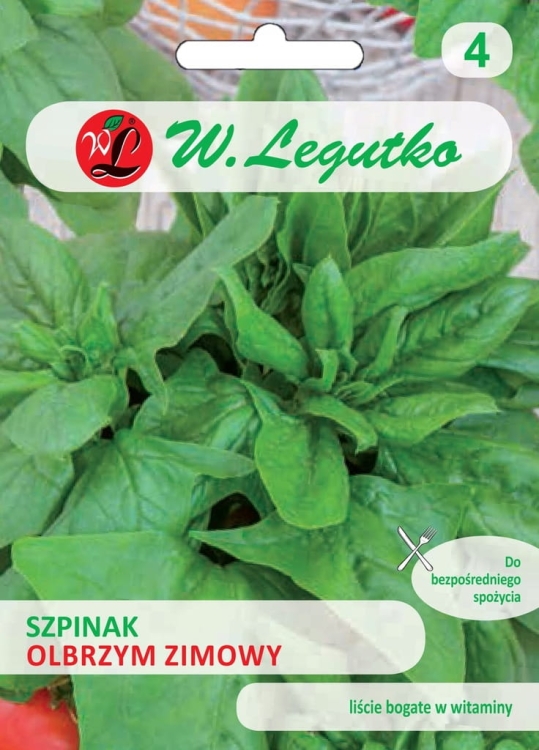 Szpinak Zimowy Olbrzymi 20 g – odporny na mróz | W. Legutko