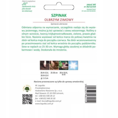 Szpinak Zimowy Olbrzymi 20 g – odporny na mróz | W. Legutko