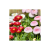 d0abbaa70d0aee32c8d86a427c96a630.png