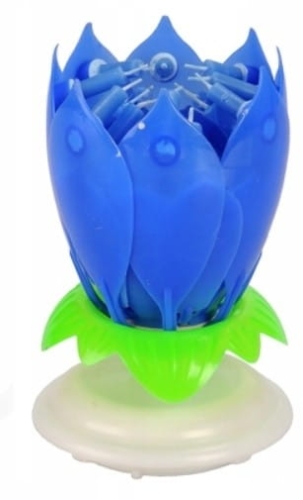 Zrzut ekranu 2026-02-12 103724.jpg