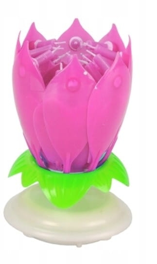 Zrzut ekranu 2026-02-12 103716.jpg