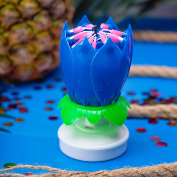 750px_Grająca świeca urodzinowa KWIAT RAVI _1.jpg