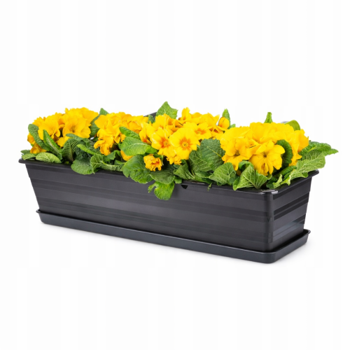 ChatGPT Image 17 lut 2026, 13_24_49.png