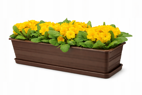 ChatGPT Image 17 lut 2026, 13_31_15.png