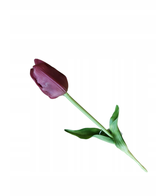 7.png