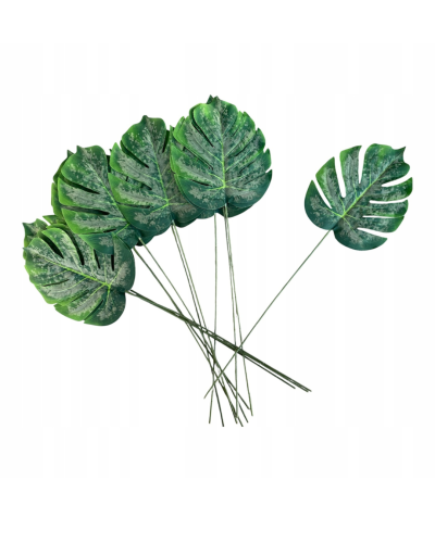 a14c089603ab2e8c36165e43a029a057.png