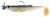 ab15d2a45a35a798bfb7425e8d9f9fb5.jpg