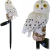 3debdec5d41b35ee7f086c9d401decb3.png
