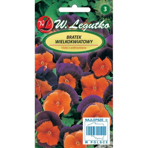 bratek-szwajcarski-orange-violet.jpg