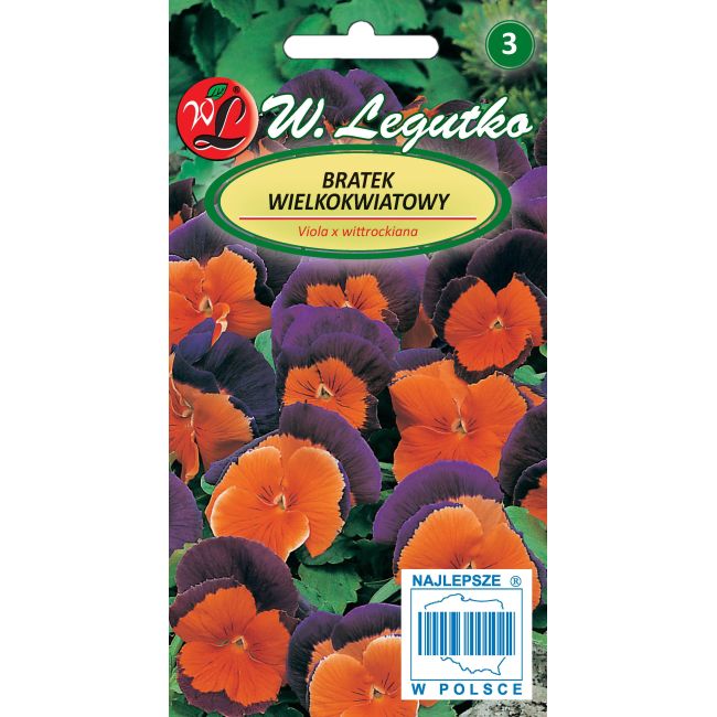bratek-szwajcarski-orange-violet.jpg