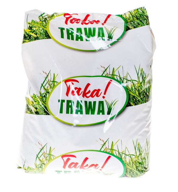 Trawa mieszanka traw Planta 80 m² 2 kg