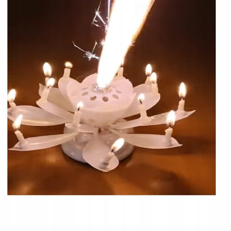 Grająca świeca urodzinowa kwiat Niebieski, Różowy