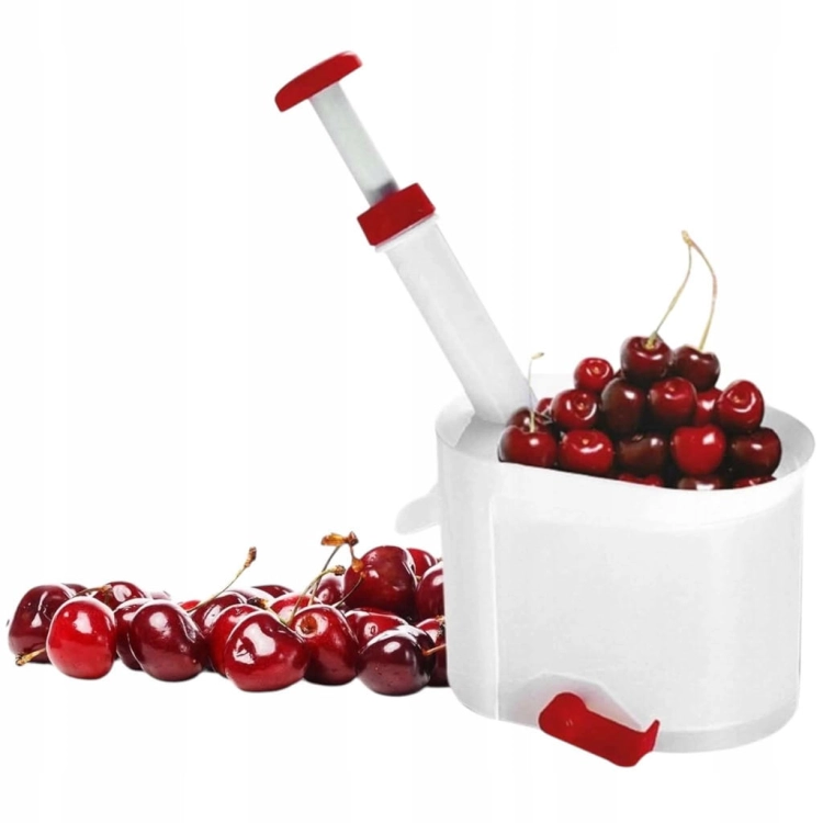 Drylownica do wiśni, czereśni