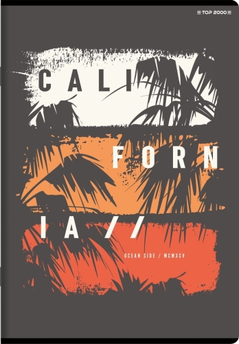 Zeszyt w kratkę A5 TOP-2000 96 kartek