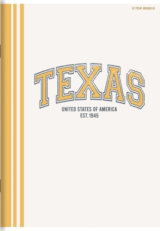 Zeszyt w kratkę A5 TOP-2000 96 kartek