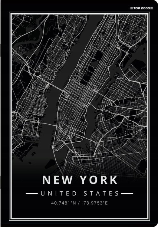 Zeszyt w kratkę A5 TOP-2000 96 kartek