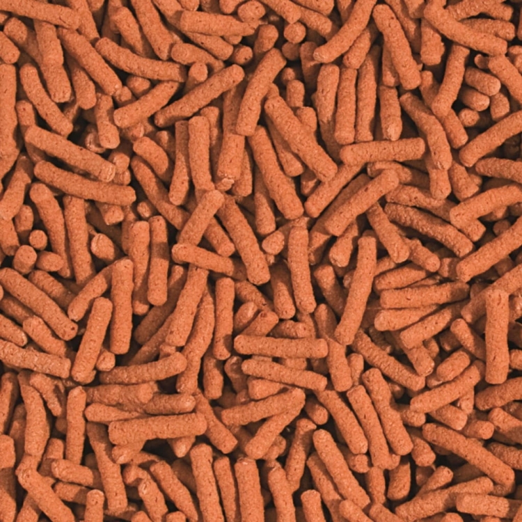 Koi & Goldfish Colour Sticks – pokarm wybarwiający dla karpi koi i złotych rybek