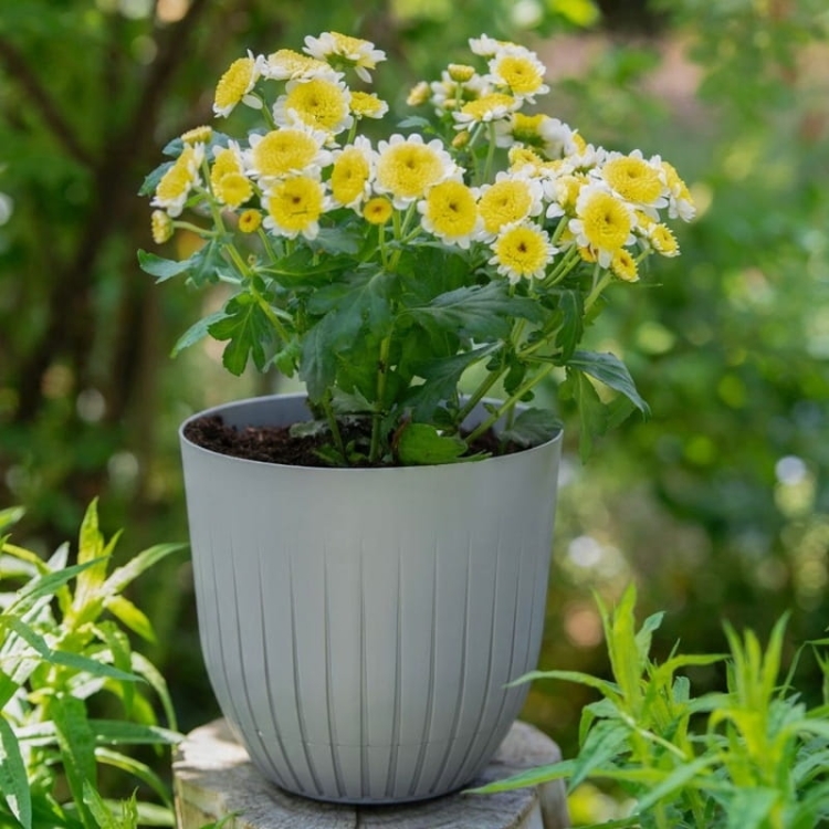 Doniczka plastikowa BRITTA 16 cm jasnoszara z podstawką – nowoczesna, lekka i funkcjonalna doniczka Verdenia