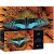 Puzzle 250 elementów Interdruk – Colourful Nature 1 – Paw – dekoracyjne puzzle artystyczne 33x48 cm
