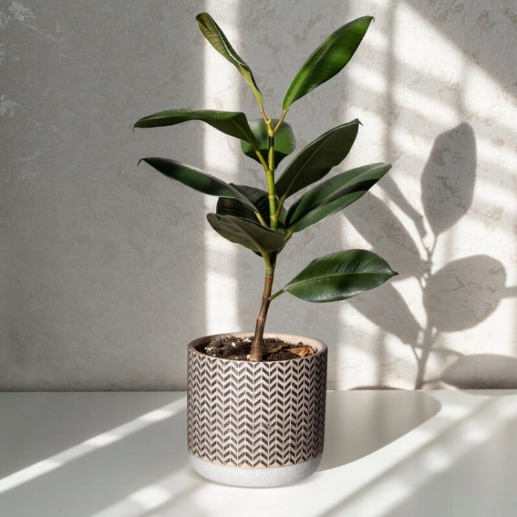 Donica dekoracyjna kremowa 11x11x10 cm z glinki ceramicznej