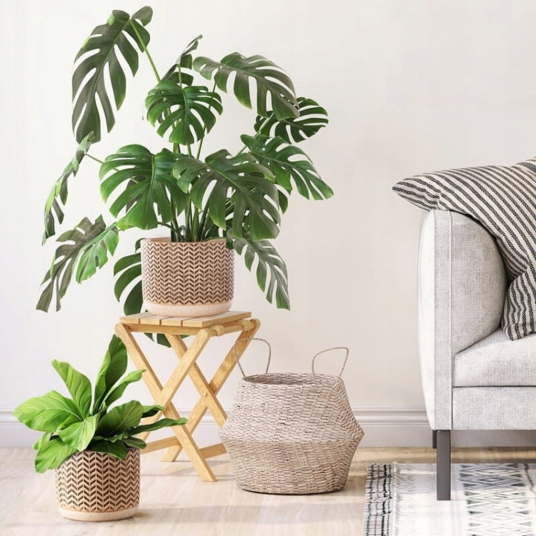 Donica dekoracyjna kremowa 12x12x10 cm z glinki ceramicznej