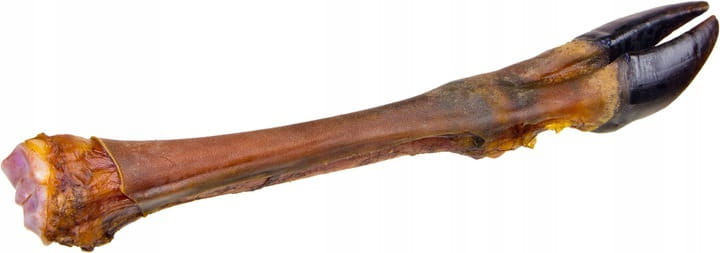 Noga jelenia z racicą 30–40cm 1szt – naturalny gryzak dla psa