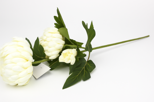 ChatGPT Image 27 sie 2025, 14_41_10.png